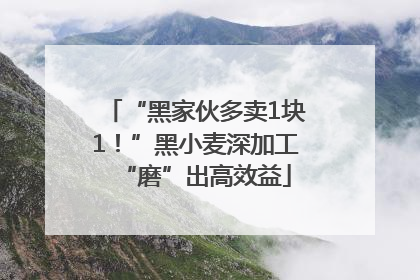 “黑家伙多卖1块1！”黑小麦深加工“磨”出高效益
