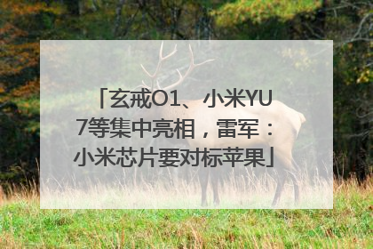 玄戒O1、小米YU7等集中亮相，雷军：小米芯片要对标苹果