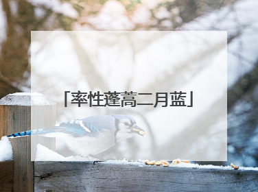 率性蓬蒿二月蓝