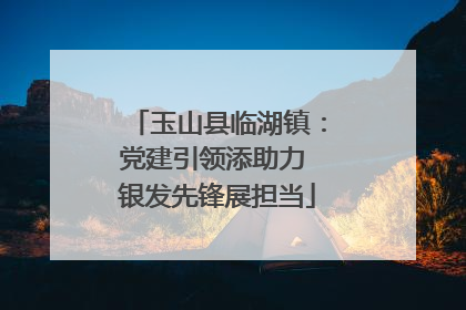 玉山县临湖镇：党建引领添助力 银发先锋展担当