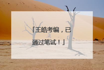 王皓考编，已通过笔试！