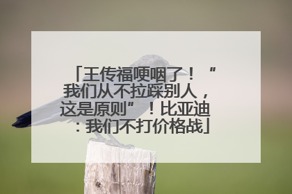 王传福哽咽了！“我们从不拉踩别人，这是原则”！比亚迪：我们不打价格战