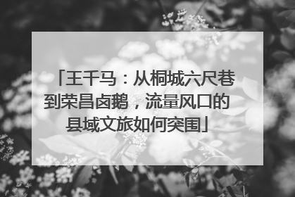 王千马：从桐城六尺巷到荣昌卤鹅，流量风口的县域文旅如何突围