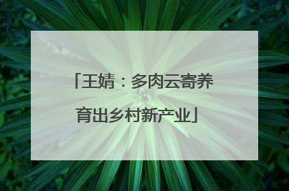 王婧：多肉云寄养 育出乡村新产业