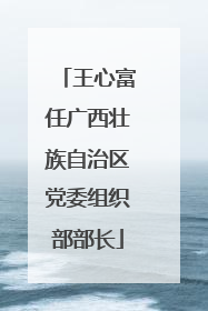 王心富任广西壮族自治区党委组织部部长