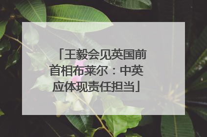 王毅会见英国前首相布莱尔：中英应体现责任担当
