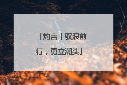 灼言丨驭浪前行，勇立潮头