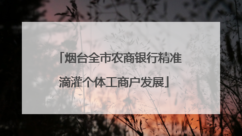 烟台全市农商银行精准滴灌个体工商户发展