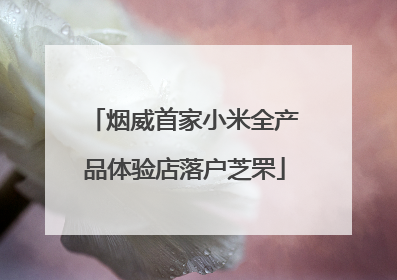 烟威首家小米全产品体验店落户芝罘