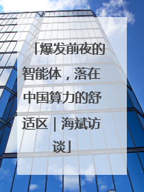 爆发前夜的智能体，落在中国算力的舒适区｜海斌访谈