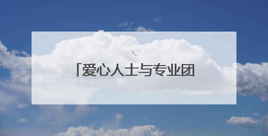 爱心人士与专业团队联手救护 小猫头鹰成功飞上蓝天