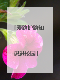 爱路护路知识进校园