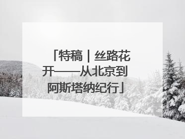 特稿｜丝路花开——从北京到阿斯塔纳纪行