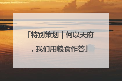 特别策划｜何以天府，我们用粮食作答