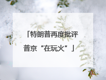 特朗普再度批评普京“在玩火”