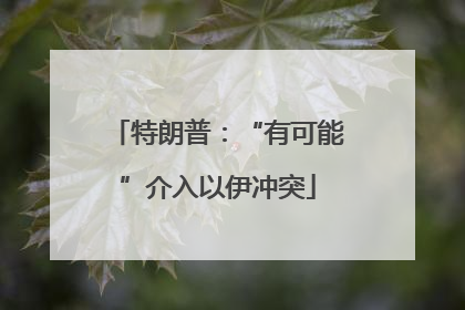 特朗普：“有可能”介入以伊冲突