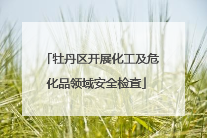 牡丹区开展化工及危化品领域安全检查