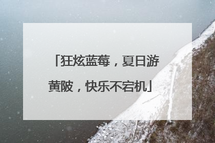 狂炫蓝莓，夏日游黄陂，快乐不宕机