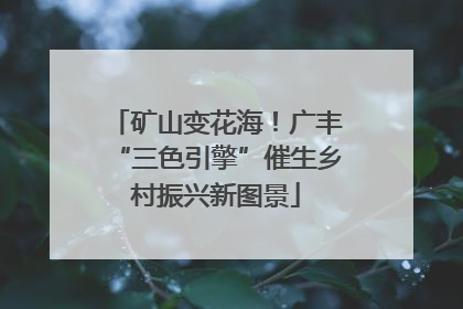 矿山变花海！广丰“三色引擎”催生乡村振兴新图景