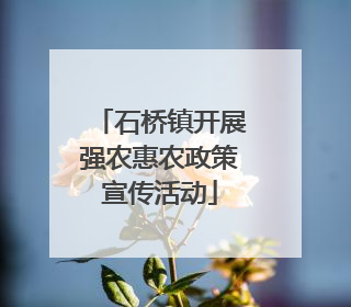 石桥镇开展强农惠农政策宣传活动