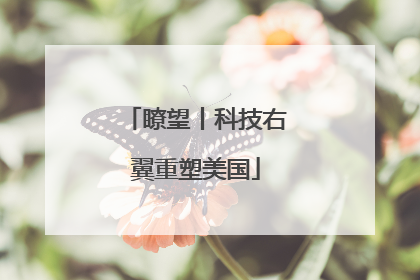 瞭望丨科技右翼重塑美国