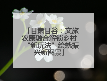 甘肃甘谷：文旅农康融合解锁乡村“新玩法”绘就振兴新图景