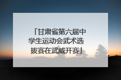 甘肃省第六届中学生运动会武术选拔赛在武威开赛