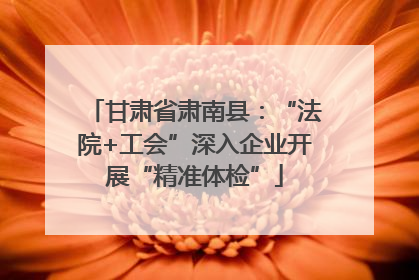 甘肃省肃南县：“法院+工会”深入企业开展“精准体检”