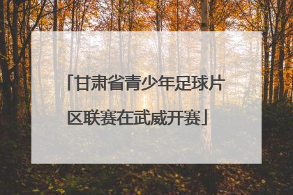 甘肃省青少年足球片区联赛在武威开赛