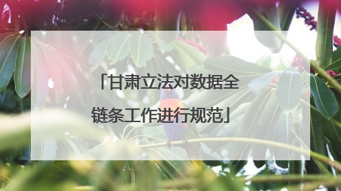 甘肃立法对数据全链条工作进行规范