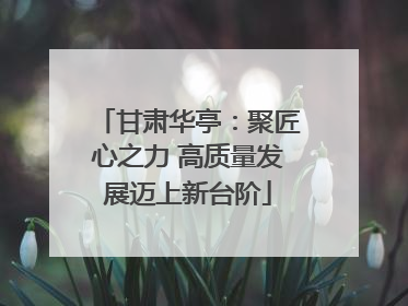 甘肃华亭：聚匠心之力 高质量发展迈上新台阶