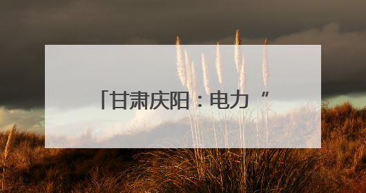 甘肃庆阳：电力“绿引擎” 驱动生态再造“新答卷”