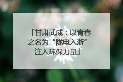 甘肃武威：以青春之名为“陇电入浙”注入环保力量