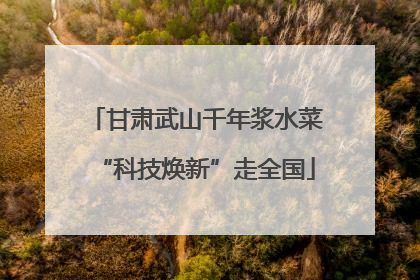 甘肃武山千年浆水菜“科技焕新”走全国