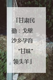 甘肃民勤：戈壁沙乡孕育“甘味”领头羊