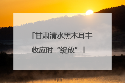 甘肃清水黑木耳丰收应时“绽放”