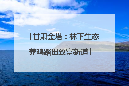 甘肃金塔：林下生态养鸡踏出致富新道