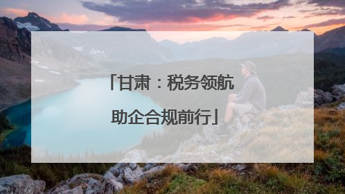 甘肃：税务领航 助企合规前行