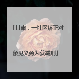 甘肃：一社区矫正对象见义勇为获减刑