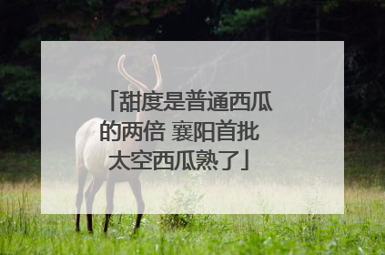 甜度是普通西瓜的两倍 襄阳首批太空西瓜熟了