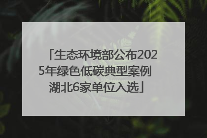 生态环境部公布2025年绿色低碳典型案例 湖北6家单位入选
