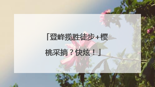 登峰揽胜徒步+樱桃采摘？快炫！