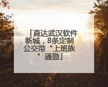 直达武汉软件新城，8条定制公交带“上班族”通勤