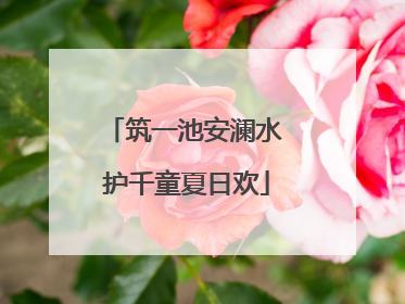 筑一池安澜水 护千童夏日欢