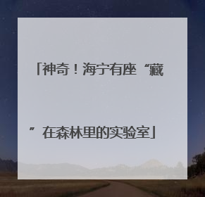 神奇！海宁有座“藏”在森林里的实验室