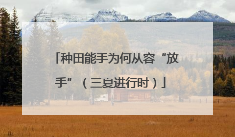 种田能手为何从容“放手”（三夏进行时）