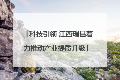 科技引领 江西瑞昌着力推动产业提质升级