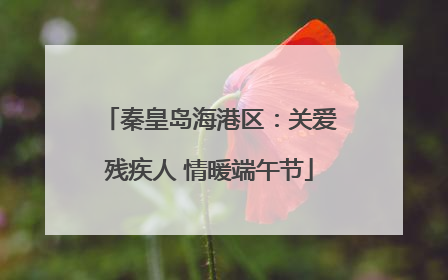 秦皇岛海港区：关爱残疾人 情暖端午节