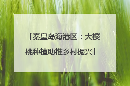 秦皇岛海港区：大樱桃种植助推乡村振兴
