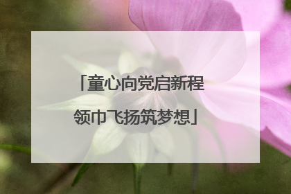 童心向党启新程 领巾飞扬筑梦想